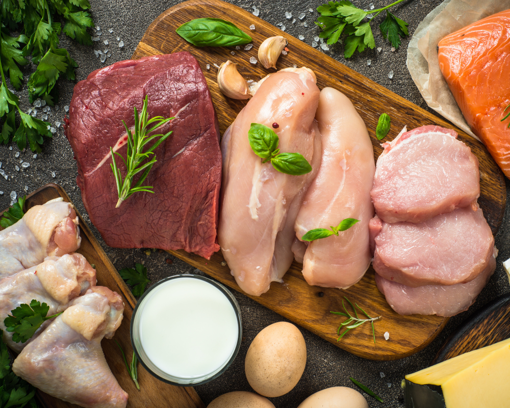 What is Protein? | Fittmeals